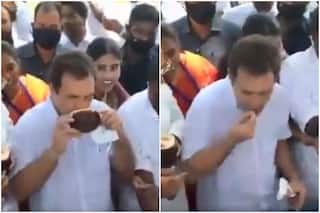 Rahul Gandhi Enjoys Palm Fruit With Locals in Tamil Nadu's Kanyakumari, Video Goes Viral | Watch