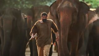 Hathi Mere Sathi Trailer: राणा दग्गुबाती की फिल्म 'हाथी मेरे साथी' का दमदार ट्रेलर रिलीज़, बेजुबानों ने तोड़ दी दुश्मनों की सारी दीवारें