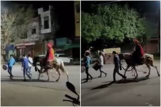 Band, Baaja But No Baarat? Video of Groom On an Empty Street Shows How Weddings Have Been Hit by Covid | Watch