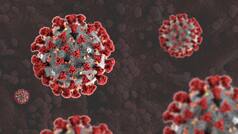 Brazilian Covid Variant More Transmissible, Can Evade Immunity