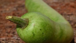 Benefits Of Lauki Juice (Bottle Gourd): How It Helps To Burn Belly Fat Fast