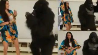 Shraddha Kapoor ने गोरिल्ला के साथ हिलाई कमरिया, इस अंदाज़ में किया डांस- Video Viral