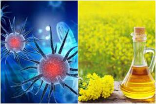 Ayurvedic Moisturizer For Corona: मात्र 10 मिनट में बनकर तैयार हो जाएगा ये आयुर्वेदिक हैंड मॉइश्चराइजर, कोरोना से करेगा बचाव