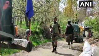 Jammu and Kashmir: Two Terrorists Killed in Shopian Encounter, Search Continues