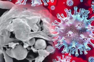 सिर्फ भारत में ही क्यों फैल रहा ब्लैक फंगस? क्या अधिक जनसंख्या है इसकी वजह? जानें विशेषज्ञों की राय