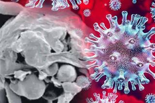 CoronaVirus: घबराएं नहीं-Black Fungus जितना खतरनाक नहीं है White Fungus, बरतें ये सावधानियां