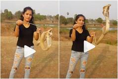 Viral Video: Fearless Girl Plays With Cobra Snake & Performs Tricks With it, Internet is Stunned | Watch