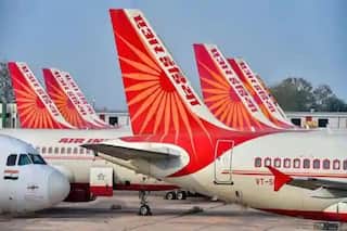 Delhi-London Air India Flight Delayed After Swarm of Ants Found in Business Class