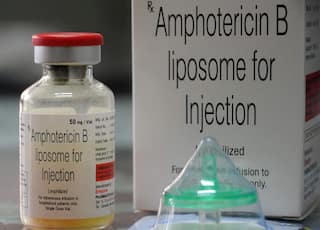 Black Fungus की दवा के आयात पर नहीं लगेगा सीमा शुल्क, हाईकोर्ट ने दिया आदेश