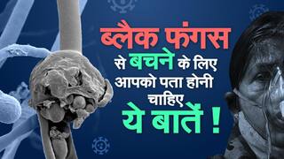 Black Fungus: जानिए, ब्लैक फंगस क्या है और ब्लैक फंगस से बचने के उपाय | Doctor Decodes