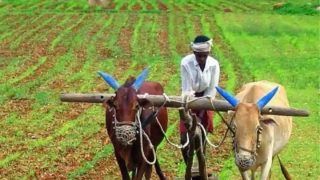 PM Kisan Yojna Updates: 42 लाख अपात्र किसानों से की जा रही करीब 3,000 करोड़ की वसूली, इस राज्य से हैं सबसे ज्यादा मामले