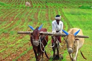 PM Kisan Yojna Updates: 42 लाख अपात्र किसानों से की जा रही करीब 3,000 करोड़ की वसूली, इस राज्य से हैं सबसे ज्यादा मामले