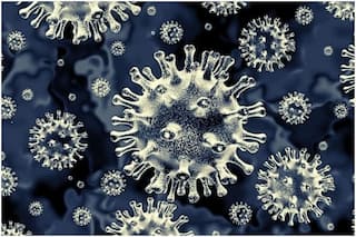 Black Fungus Alarm: Rare Case of Post-Dengue Mucormycosis Reported at Apollo Hospital in Delhi | What Experts Say