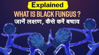 Black Fungus Explained: Video में जानें ब्लैक फंगस के लक्षण, कैसे करें बचाव