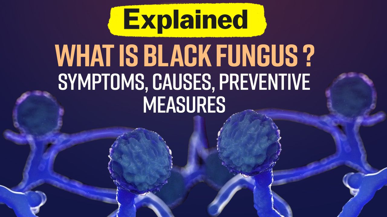 What is Black Fungus? Latest Symptoms, Causes, Preventive Measures Explained | Watch Video