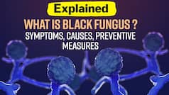 What is Black Fungus? Latest Symptoms, Causes, Preventive Measures Explained | Watch Video