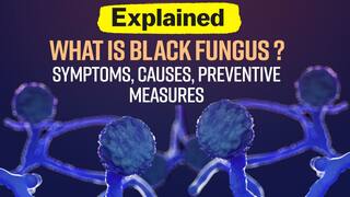 What is Black Fungus? Latest Symptoms, Causes, Preventive Measures Explained | Watch Video