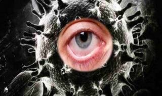 Black Fungus फिर लौटा! मुंबई में पहला मामला आया सामने; इन लक्षणों को न करें नजरअंदाज