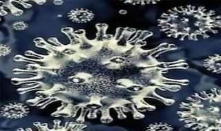 Black Fungus: दिल्ली में ब्लैक फंगस के कारण छोटी आंत संक्रमित होने का दुर्लभ मामला आया सामने