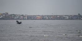 Mumbai Braces For Cyclone Tauktae, Bandra-Worli Sea Link Closed For 2 Days