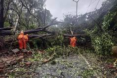 Cyclone Tauktae 'Very Likely' to Intensify Further, Landfall in Gujarat Early Tuesday | Highlights