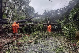Cyclone Tauktae 'Very Likely' to Intensify Further, Landfall in Gujarat Early Tuesday | Highlights