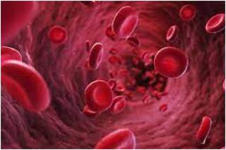 World Blood Cancer Day 2021 Home Remedies: ब्लड कैंसर जैसी जानलेवा बीमारी से बचना चाहते हैं तो अपनाएं ये घरेलू उपाय