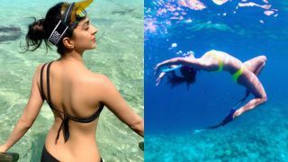 Kiara Advani बन गईं हैं जलपरी! समुद्र के अंदर बिकनी पहने ऐसे तैर रही हैं...थ्रोबैक Photo Viral