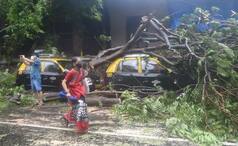 Cyclone Tauktae: Mumbai Airport Resumes Operation After 11 Hours