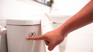 COVID Fact Check: Does Flushing the Toilet Spread Coronavirus? Here's The Truth