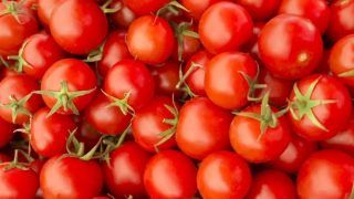Protesting Farmers Dump Tonnes Of Tomatoes Over Low Price At Nagpur-Mumbai Highway