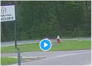 Girl Viral Video: चाकू लेकर आया किडनैपर, 11 साल की बच्ची ने सिखा दिया सबक, दुम दबाकर भागा...