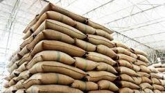 Wheat Procurement: चालू रबी सीजन में लगभग 11,000 टन गेहूं की खरीद हुई : एफसीआई प्रमुख
