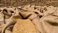 FCI ने ई-नीलामी के छठे दौर में थोक उपभोक्ताओं को खुले बाजार में बेचा 4.91 लाख टन गेहूं, RMFI का दावा आटा 8 रुपये किलो तक हुआ सस्ता
