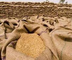 Wheat Procurement In UP: गेहूं खरीद में उत्तर प्रदेश सरकार ने तोड़ा अपना ही रिकॉर्ड