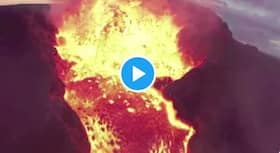 india.com top news