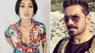 Netizen Accuses Sofia Hayat-Abhinav Shukla of Having 'One Night Stand', She Says 'Didn't Know Until I Googled Him'