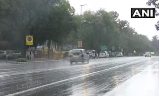 Heavy Rains, Dust Storm Hit Parts of Delhi-NCR, Trees Uprooted at 80 Places | See Photos, Video
