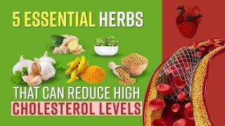 Facing Cholesterol Issues? 5 Essential Herbs That Can Reduce High Cholesterol Levels
