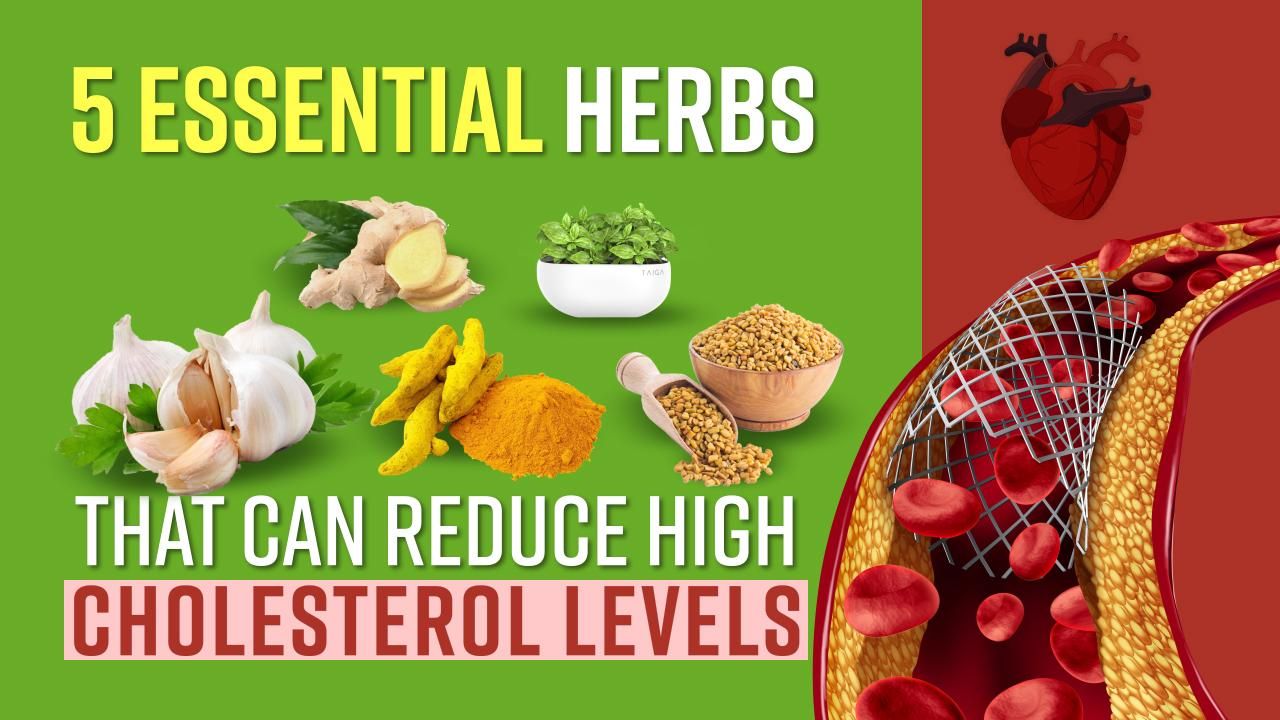 Natural remedies for high cholesterol
