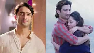 Pavitra Rishta 2.0: मानव की भूमिका में सुशांत की जगह दिखेंगे Shaheer Sheikh, अंकिता फिर से बनेंगी अर्चना