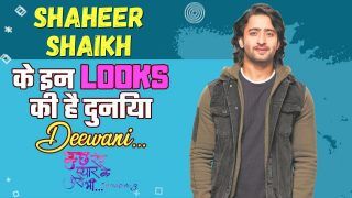 TV Actor Shaheer Sheikh's Five Take Away Looks | Watch Video