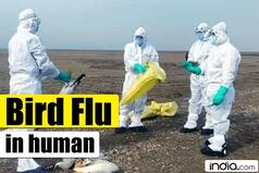 First Case of Avian Influenza in Human Reported In China. Should You be Worried?