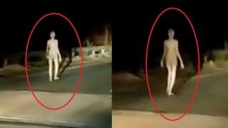 Viral Video: Scary Alien-like Ghostly Creature Spotted Walking on Road at Night | WATCH