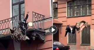 Viral Video: Couple Falls 25-Feet From Balcony While Fighting, Terrifying Moment Captured on Camera | Watch