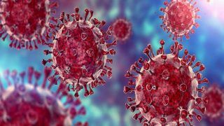 Amid Surge in Cases, Gamma Coronavirus Variant Detected in Russia