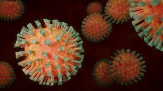 New Coronavirus Found In Bats In China. Details Here