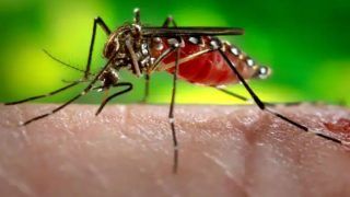 Mosquirix - World's 1st Malaria Vaccine Approved by WHO. All You Need to Know