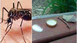 This Hilarious Technique to Trap & Kill Mosquitoes Will Make You Laugh Out Loud | See Tweet