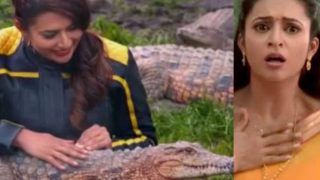 OMG..! Divyanka Tripathi मगरमच्छ को गोद में लेकर लोरी सुना रही हैं, VIDEO देखकर सिट्टी पिट्टी गुम